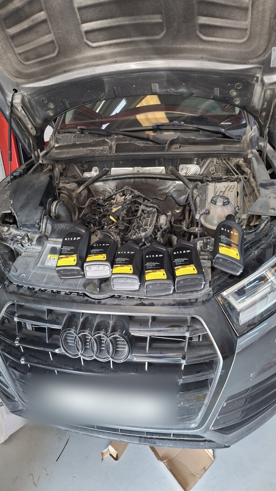 Engine oil bottles lined up across the open engine bay of an Audi SUV before a service at Velokar